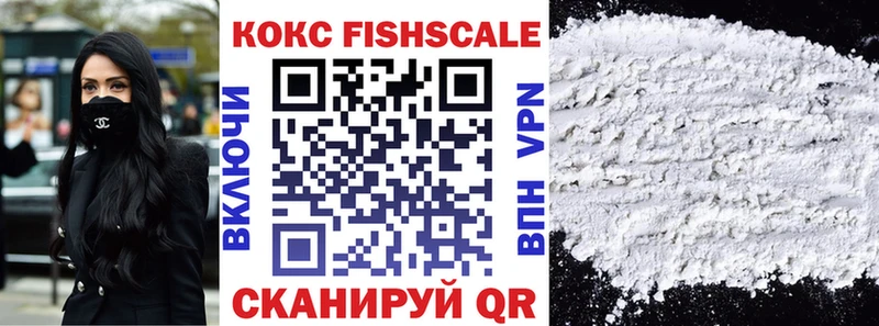 COCAIN Fish Scale  Купить закладки  Цимлянск 