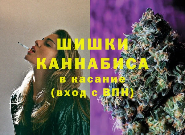 индика Нефтекумск