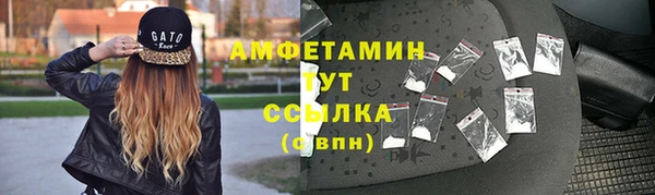 индика Нефтекумск