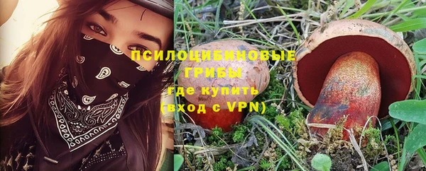 индика Нефтегорск