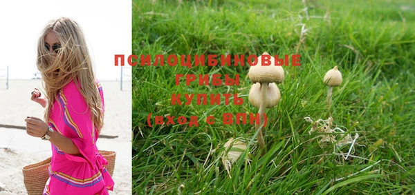 индика Нефтекумск