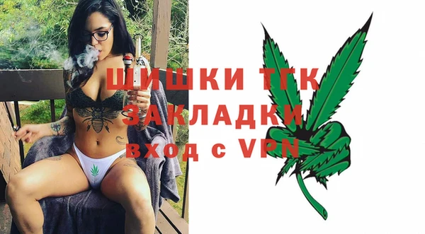 индика Нефтекумск
