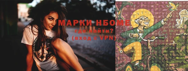 индика Нефтекумск