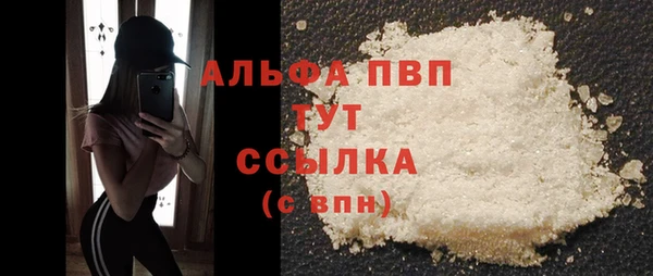 индика Нефтегорск