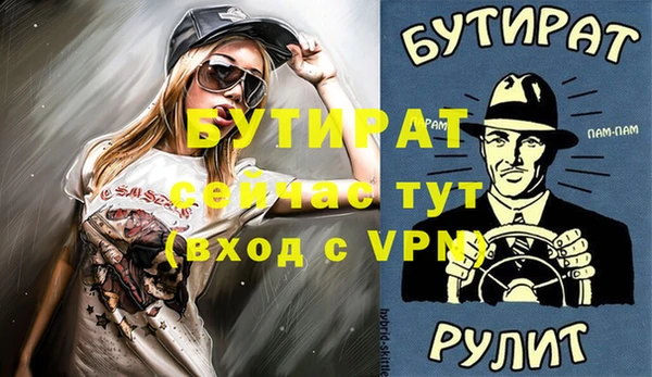 индика Надым