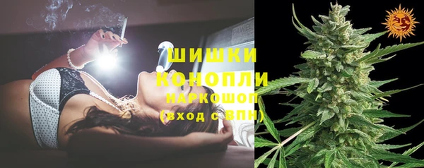 индика Нефтекумск