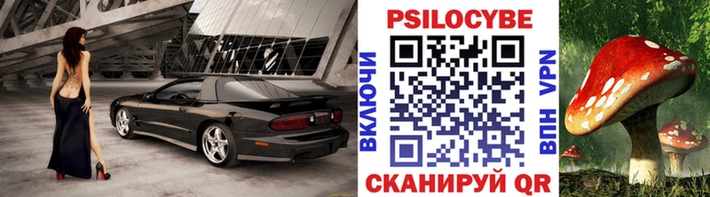 Купить где  Цимлянск  Галлюциногенные грибы Cubensis 